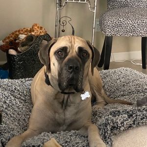 Meet your Posher, Macy